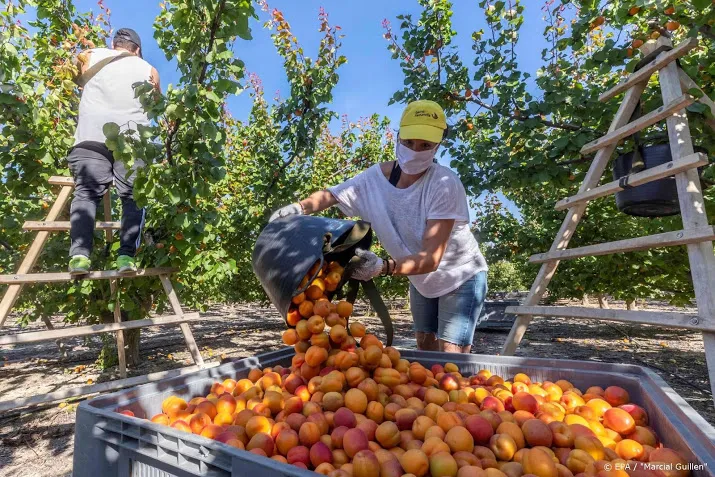 china koopt versneld amerikaanse landbouwproducten