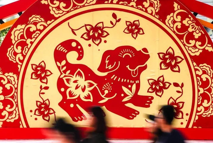 china speelt op zeker in jaar van de hond