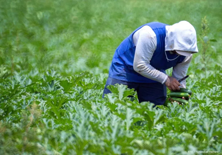 china staakt tijdelijk inkopen landbouwproducten vs
