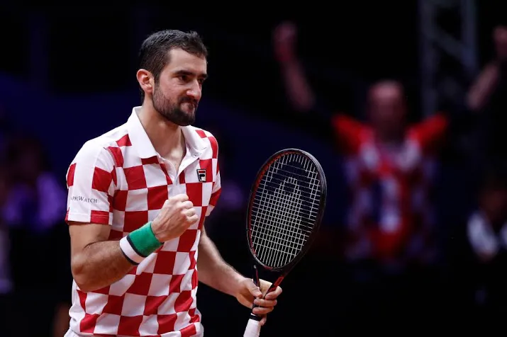 cilic bezorgt kroatie tweede daviscup
