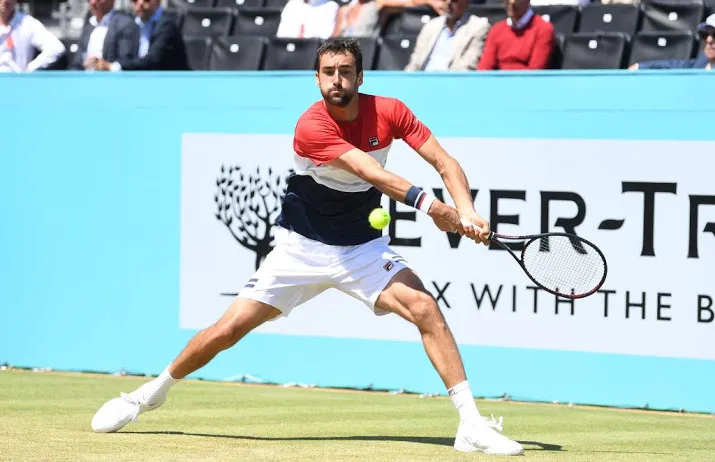 cilic naar finale queens na zege op kyrgios