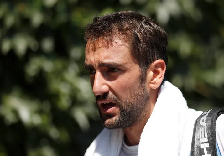 cilic snel klaar met japanner nishioka