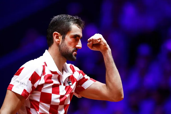cilic zet kroatie op 2 0 in finale davis cup