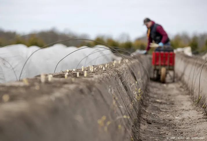 cnv arbeidsmigrant niet de oplossing voor personeelskrapte