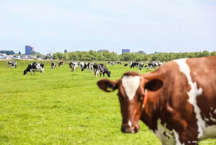 coalitie noord holland sluit onteigening niet uit