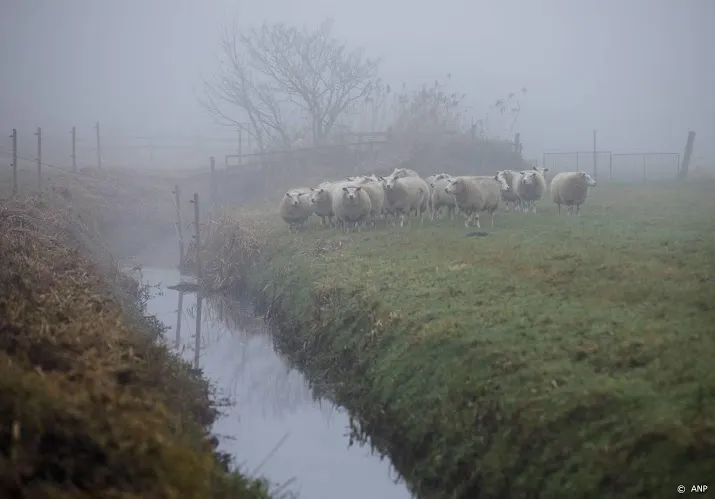 code geel om lokaal dichte mist in westen en noorden