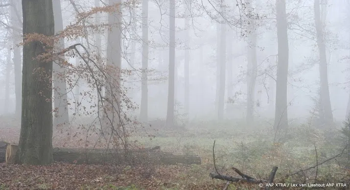code geel vanwege dichte mist in oosten en noordoosten