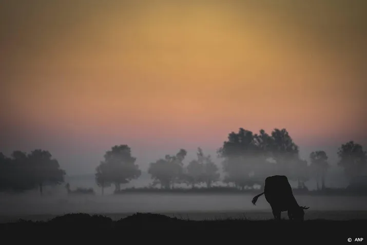 code geel vanwege mist in nacht en vrijdagochtend