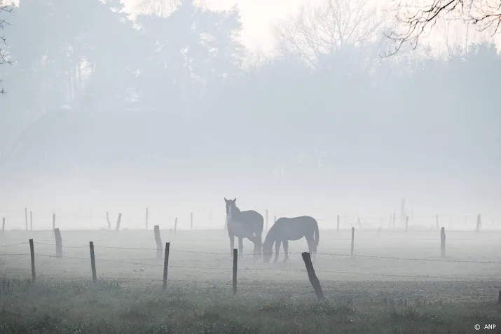 code geel voor groot deel van het land om dichte mist