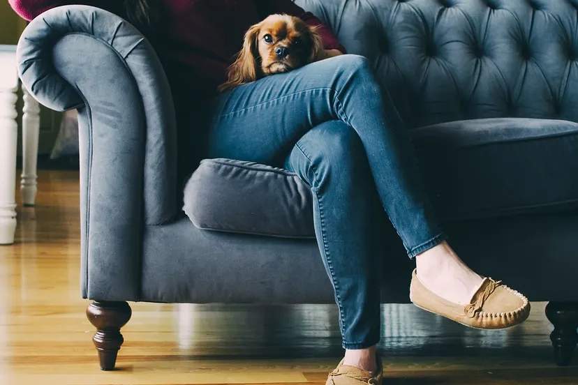 couch 2590993 960 720