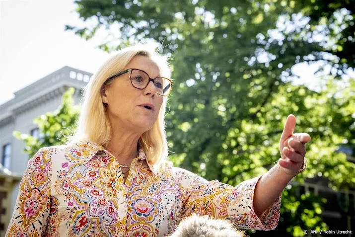 d66 leider kaag baalt niemand gebaat bij politieke crisis
