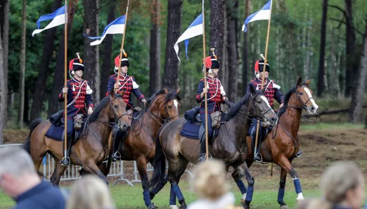 dag van het paard edenieuwsnl