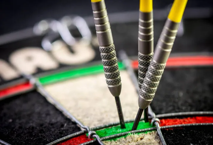 darter de zwaan stunt tegen van gerwen