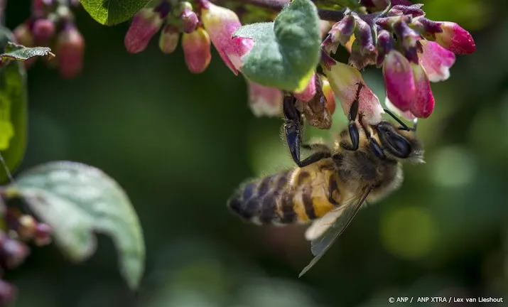dashboard voor biodiversiteit kleurt vooralsnog oranje en rood