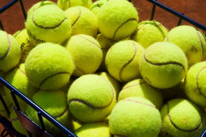 davids voorzitter tennisbond knltb