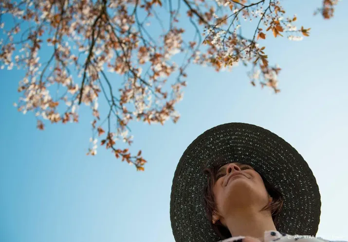 de zon komt naar ons toe de lente begint