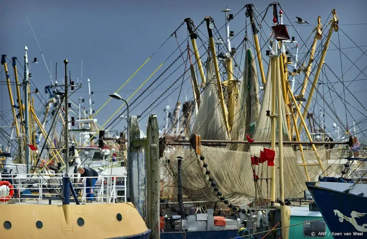deel garnalenvissers waddenzee laat zich uitkopen