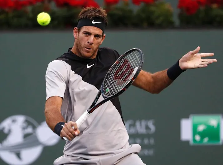 del potro tegen raonic in halve finale
