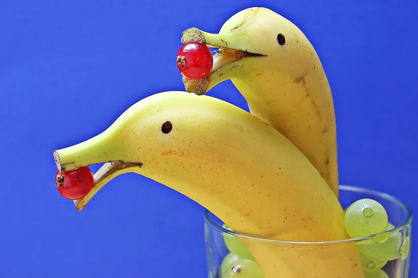 delfin bananas 1737836 960 720