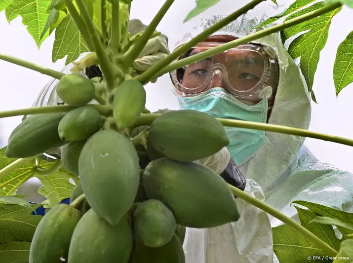 delftse onderzoekers maken zonnecellen met papaja enzymen