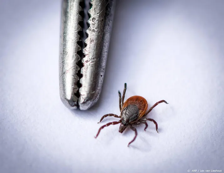 deltaplan gevraagd voor ziekte van lyme