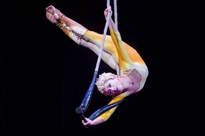 den haag vaste plek voor cirque du soleil