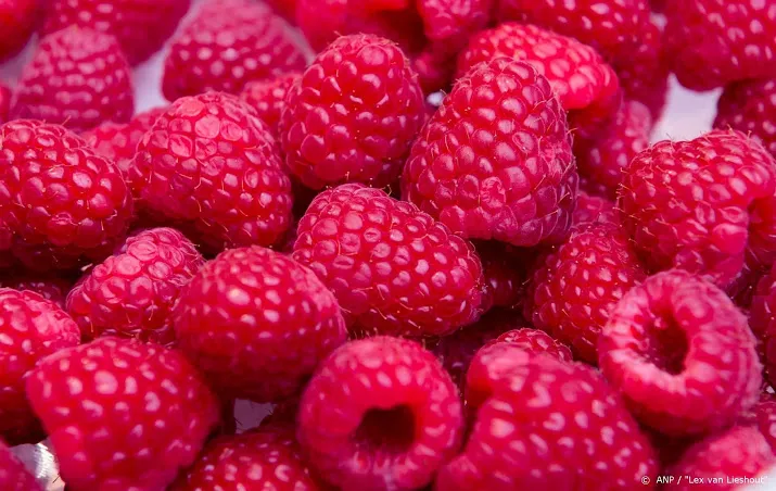 dertigtal medewerkers van twee fruitbedrijven heeft corona