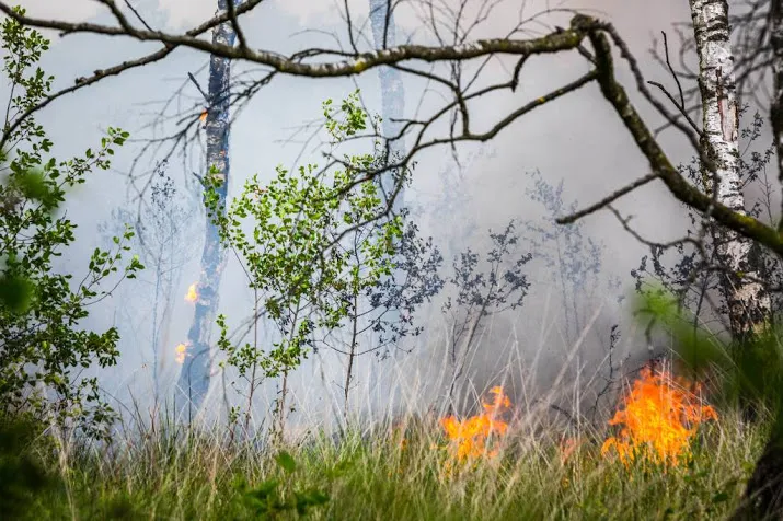 deze maand piek in aantal natuurbranden