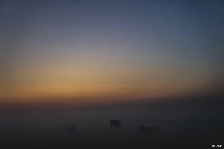 dichte mist in grote delen van nederland