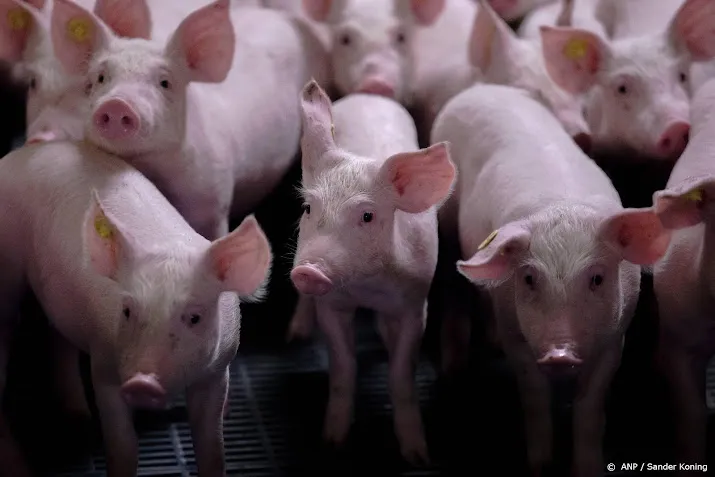 dieren bij vervoer gemiddeld 111 kilometer onderweg
