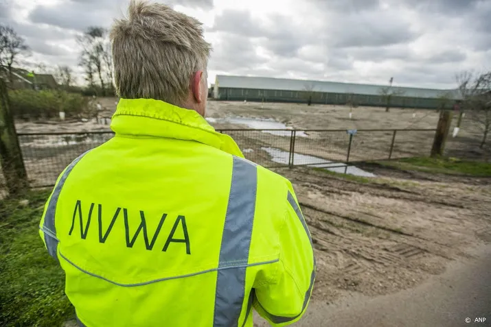 dierenartsen nvwa op vingers getikt om vervoer zieke varkens