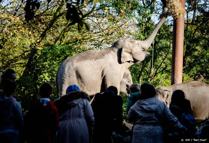 dierentuinen trokken in 2019 meer bezoekers