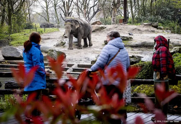 dierentuinenvereniging teleurgesteld we waren er klaar voor