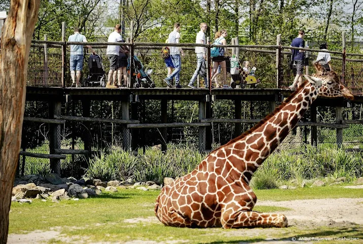 diergaarde blijdorp zet in op soortbehoud en natuurherstel