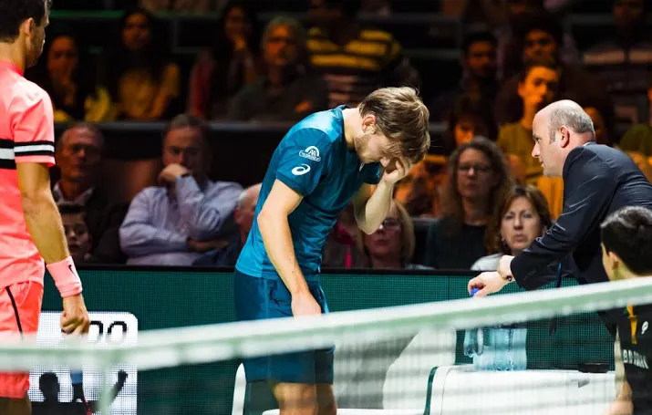 dimitrov na opgave goffin naar finale