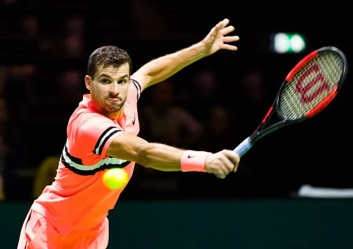 dimitrov naar halve finale rotterdam