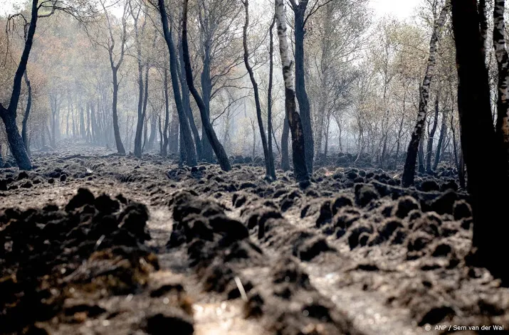 dit jaar veel meer natuurbranden dan in 2019