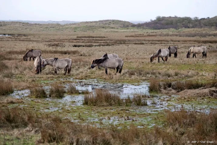 dit weekend grote drukte verwacht in natuurgebieden