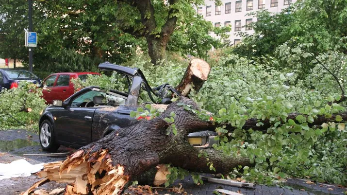 dode door noodweer rotterdam
