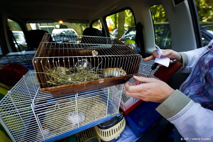 door corona en inflatie meer meldingen over verwaarloosde dieren