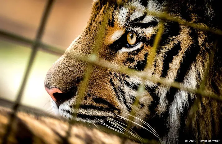 door netflix wereldberoemd tiger king park permanent gesloten