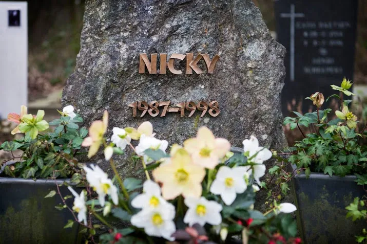 doorbraak in zaak nicky verstappen