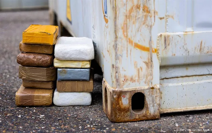 douane vindt 500 kilo coke bij lading bananen in haven vlissingen