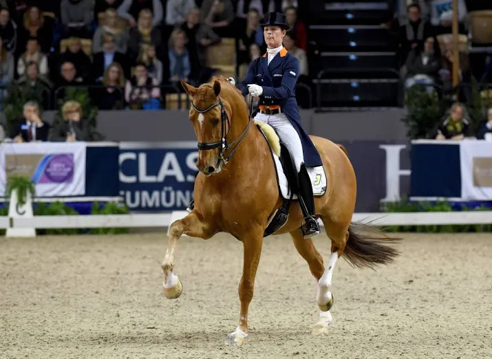 dressuuramazone cornelissen wint in falsterbo