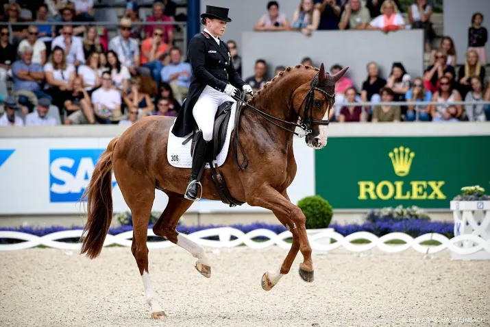 dressuuramazone werth wint kur in aken