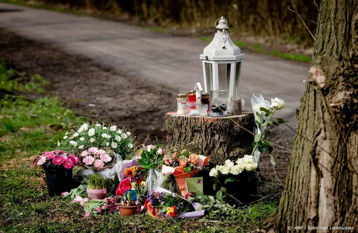 drie jaar cel voor dodelijk ongeval loosdrecht