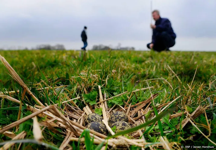 drijfmest dupeert weidevogels