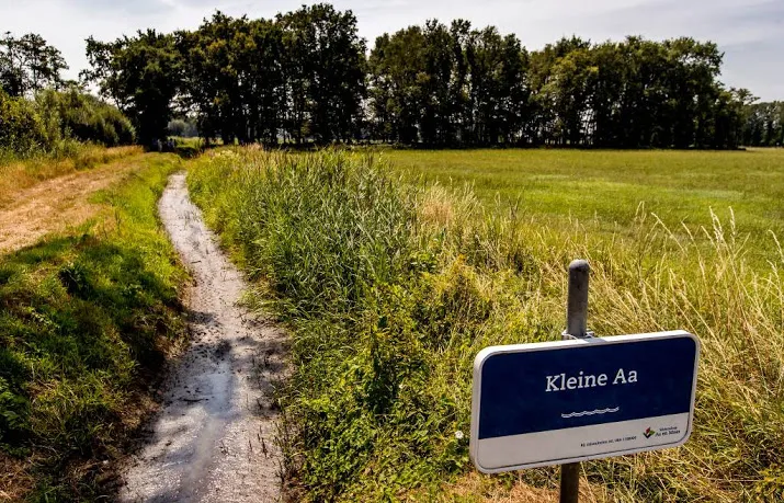 droogte funest voor beekvissen