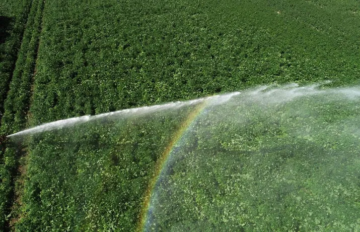 droogte vooral probleem in oosten en zuiden