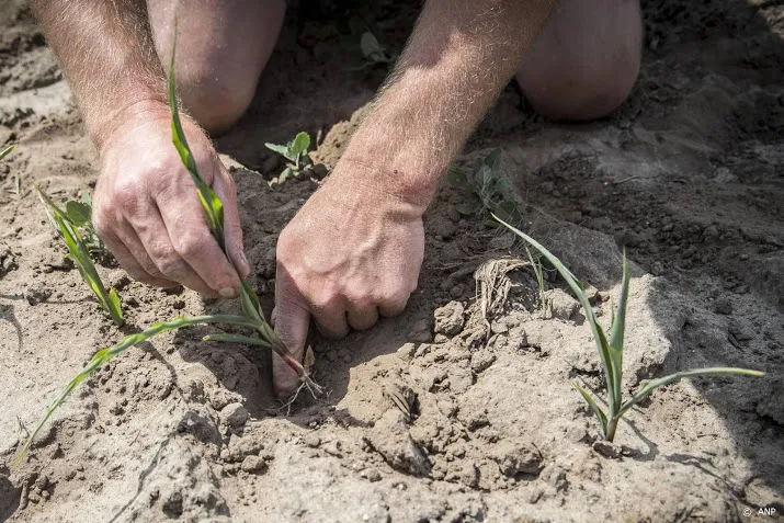 droogte zo goed als voorbij door wisselvallige weer